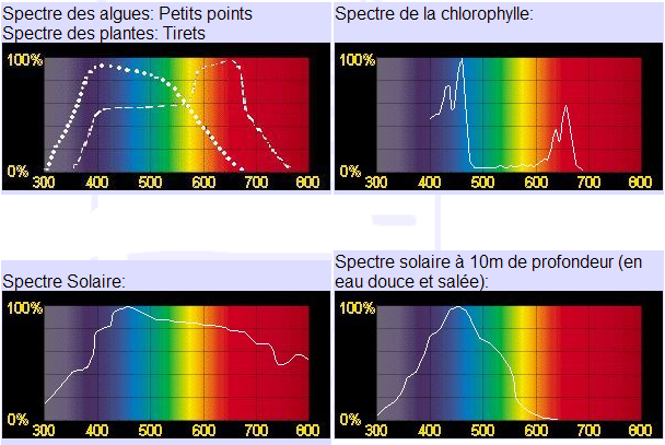 90 L hellzarot - Page 3 Spectres